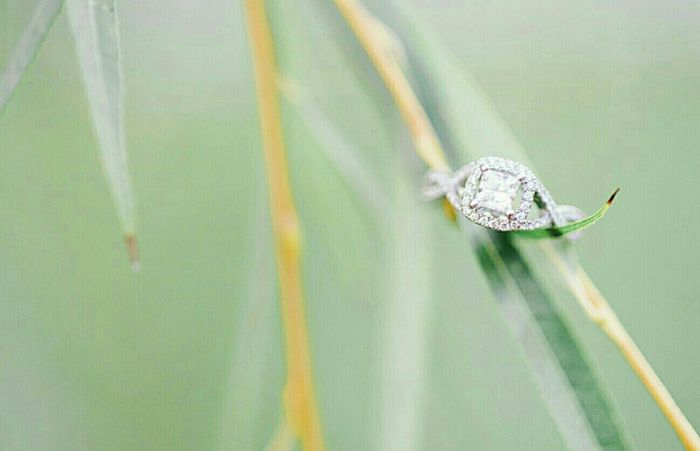 Show off your rings!!!