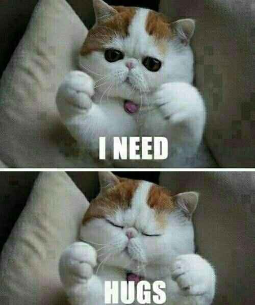 Cutest Thing You'll See All Day