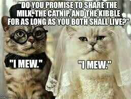 Postponing the wedding