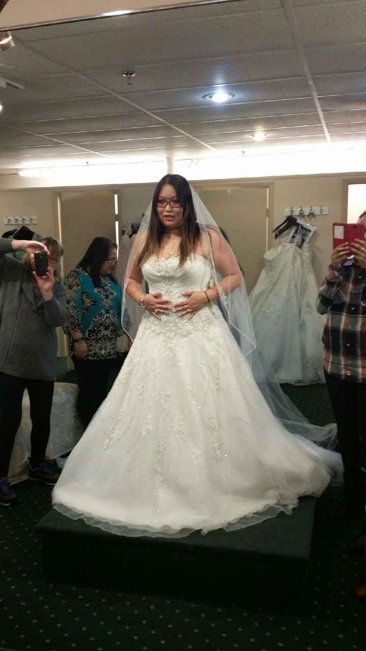 Did anyone take FH dress shopping? I'm having a hard time committing to a dress- Vent