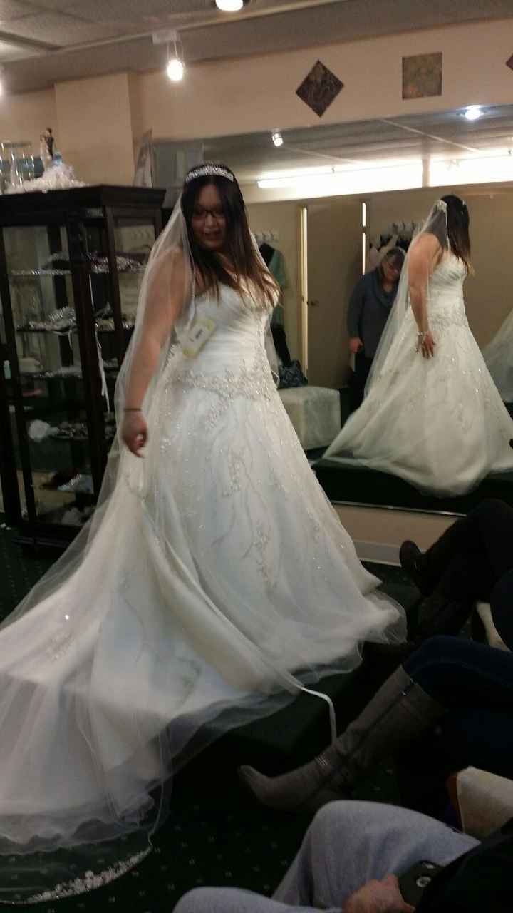 Did anyone take FH dress shopping? I'm having a hard time committing to a dress- Vent