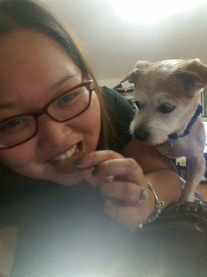 NWR Animal Lovers