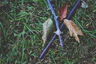 MY E-Pics! I decided to share some :)