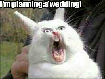 Funny Wedding Memes :D