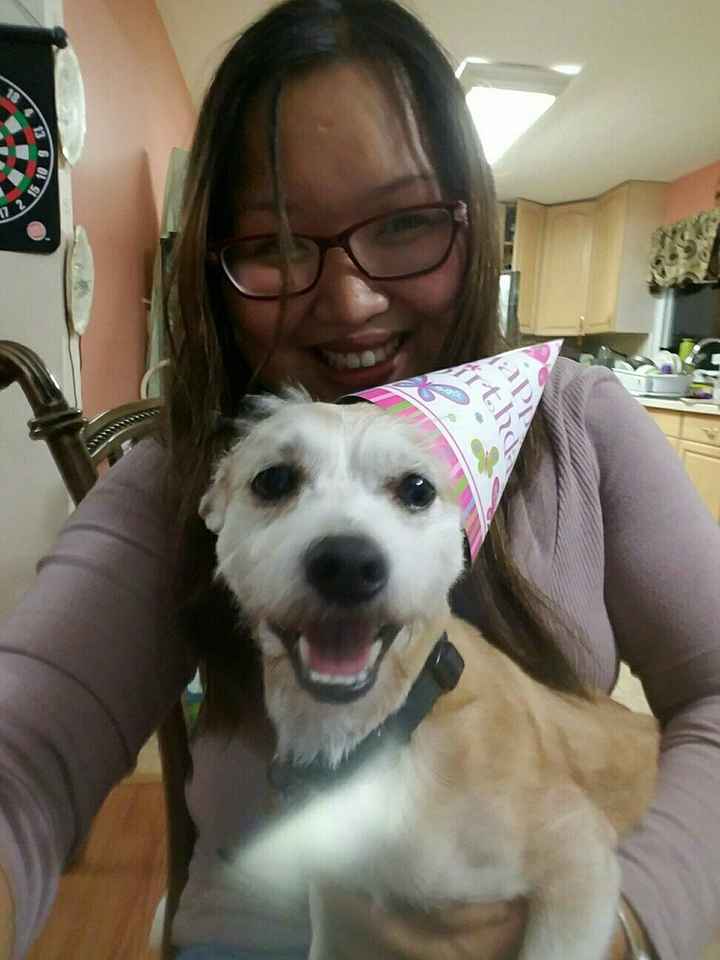 Just ordered my dogs first birthday cake! NWR