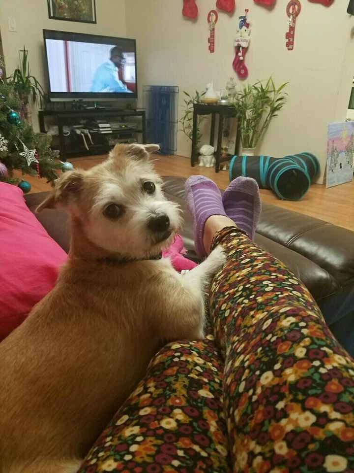 NWR - Any other Lularoe lovers out there?
