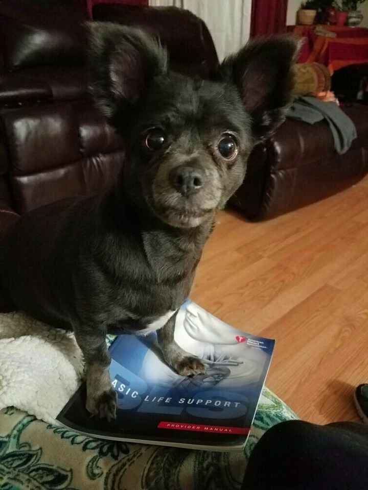 NWR: Show me your pups!