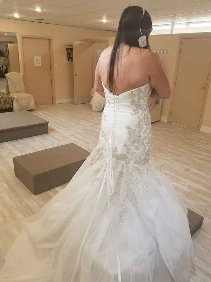 Dress is finally in! Please tell me it will be okay!
