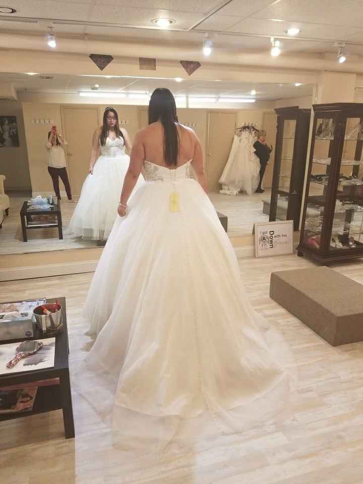 Dress is finally in! Please tell me it will be okay!