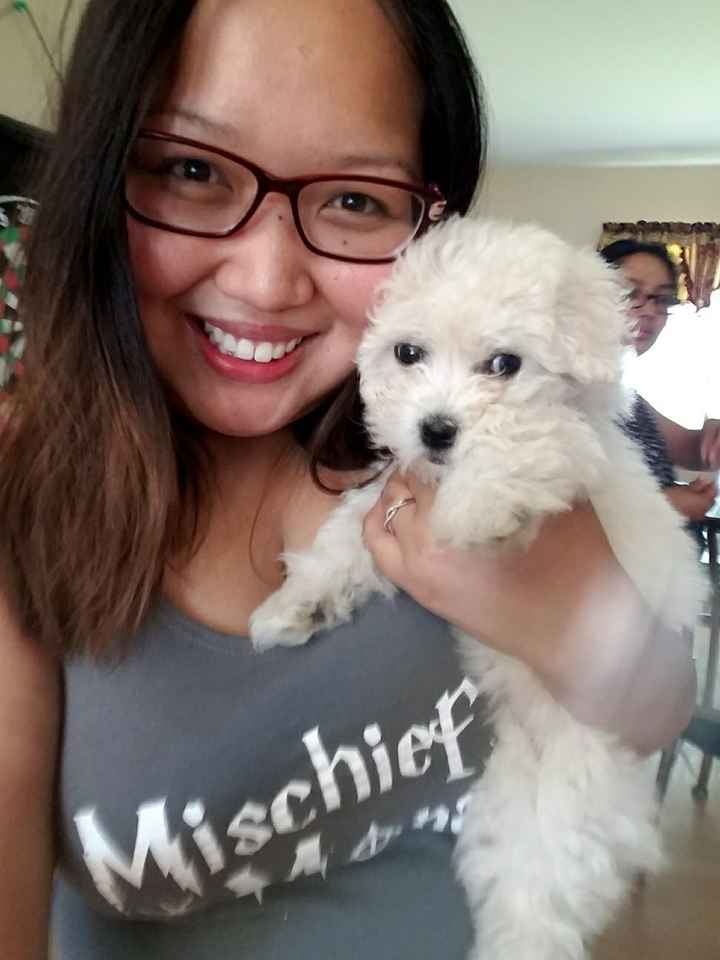 Nwr: puppy fever! (Pics included)