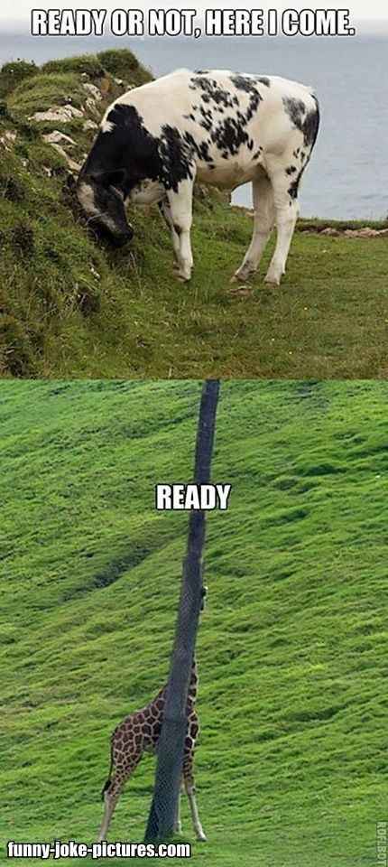 Hiding Personal Cows