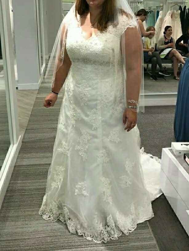 Size 22 & 24 brides!