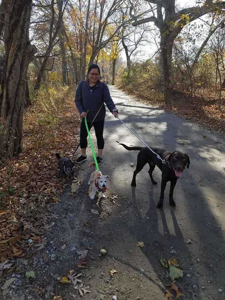 First Look Photo Shoot Locations - Long Island