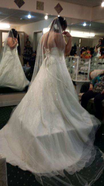 Let me see your DRESS!