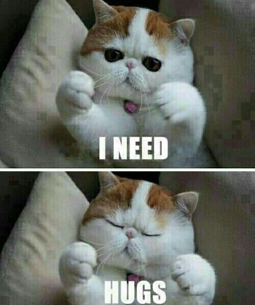 Cutest Thing You'll See All Day