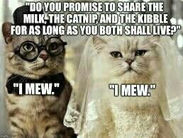 Postponing the wedding