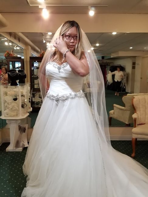 Did anyone take FH dress shopping? I'm having a hard time committing to a dress- Vent