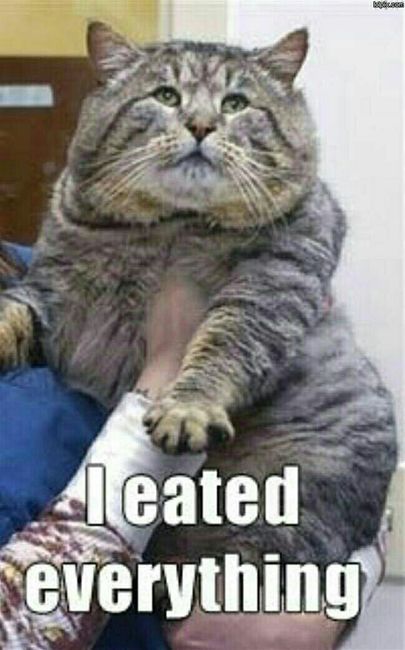 Meme theme of your day?