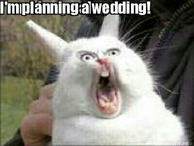 Funny Wedding Memes :D