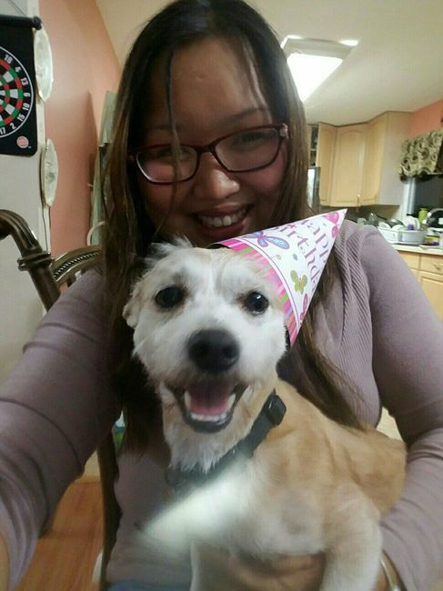 Just ordered my dogs first birthday cake! NWR
