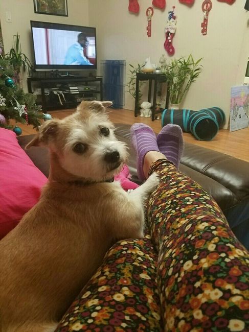 NWR - Any other Lularoe lovers out there?