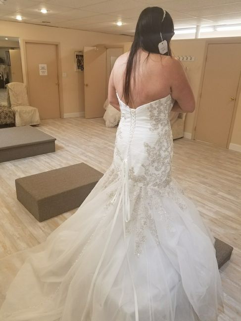 Dress is finally in! Please tell me it will be okay!