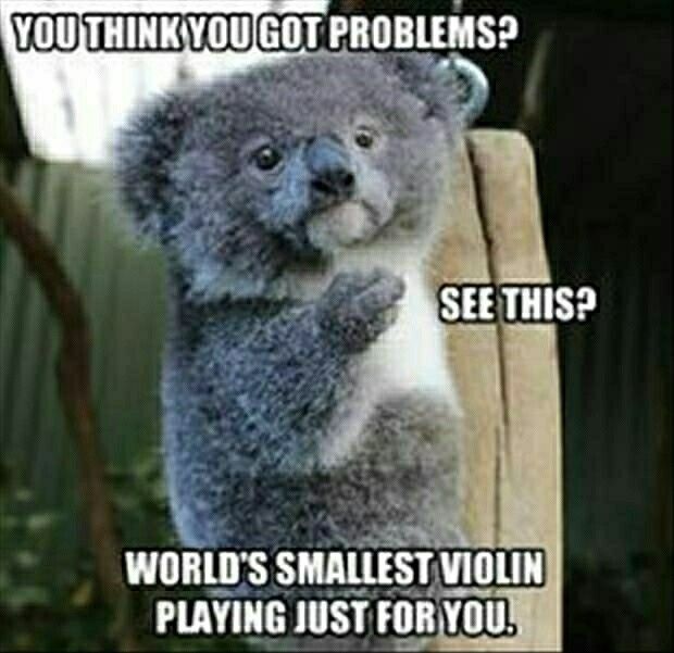 I want to contact the violinist?