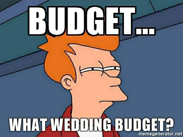 Anyone else go over budget?