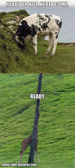 Hiding Personal Cows