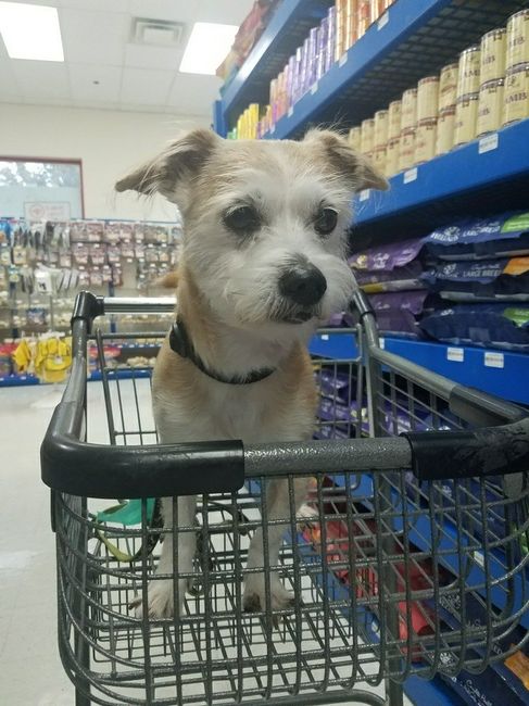NWR: Furbaby!
