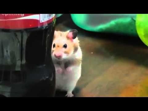 How I am picturing all the mods today 