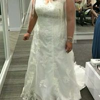 Size 22 & 24 brides!