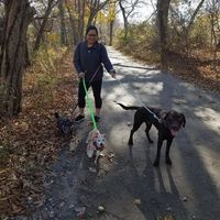 First Look Photo Shoot Locations - Long Island