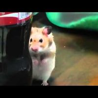 How I am picturing all the mods today 