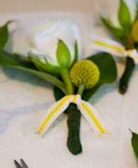 What flower/filler is this??