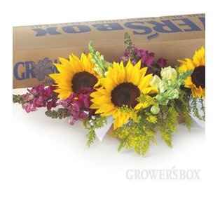 Got all my flowers for $420 = 1 happy bride!