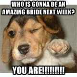 Really disappointed in my Maid of Honor