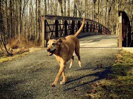 What a ruff weekend - NWR