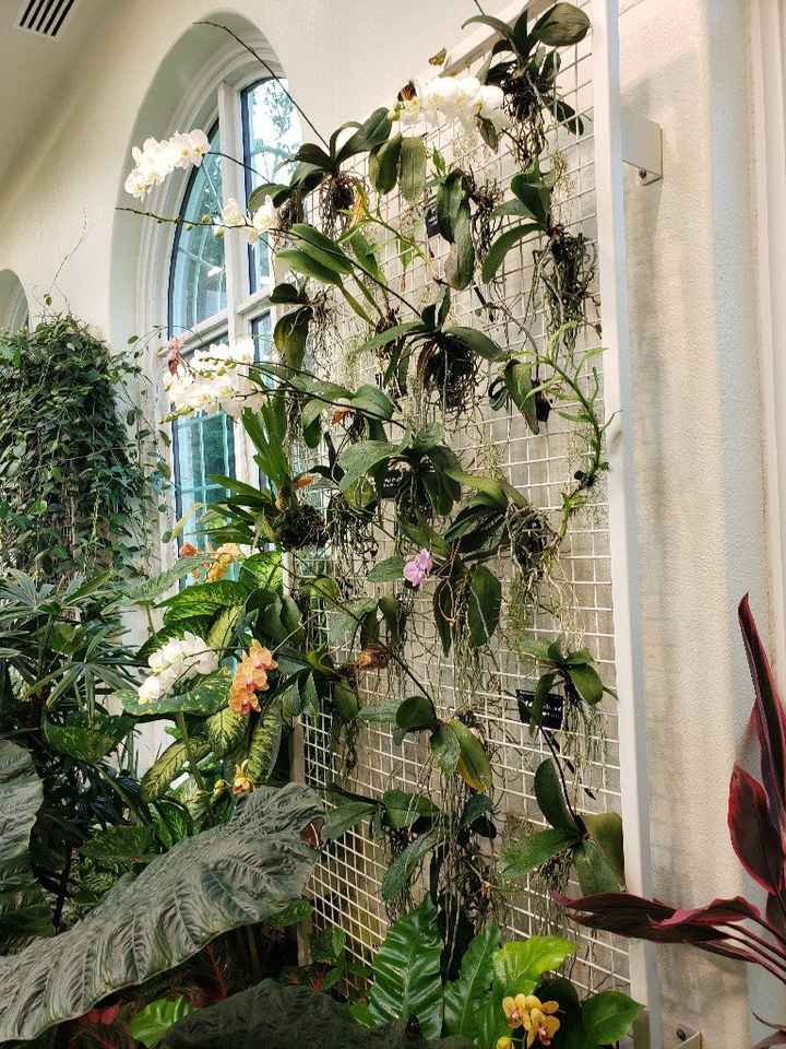 When did it become real for you? Where are you in your planning? - 4