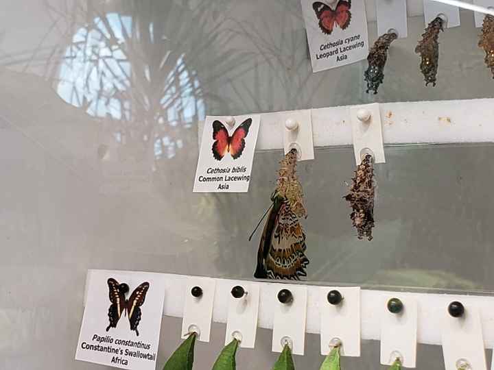 When did it become real for you? Where are you in your planning? - 6