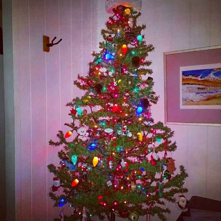 NWR-show me your Xmas trees