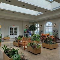 When did it become real for you? Where are you in your planning? - 9