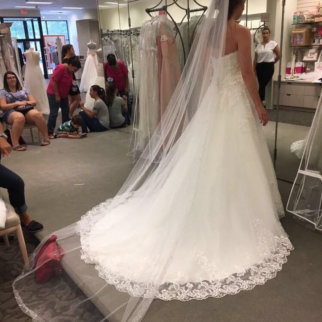 I need veil help!!