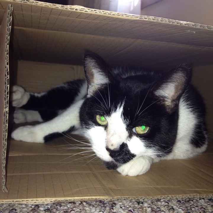 NWR: How could you even consider it?