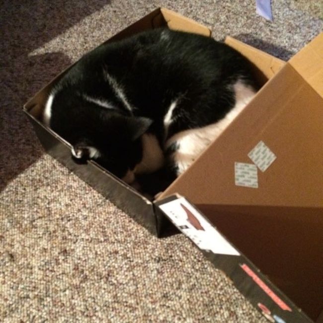 NWR- let me see your fur babies, awake and scared