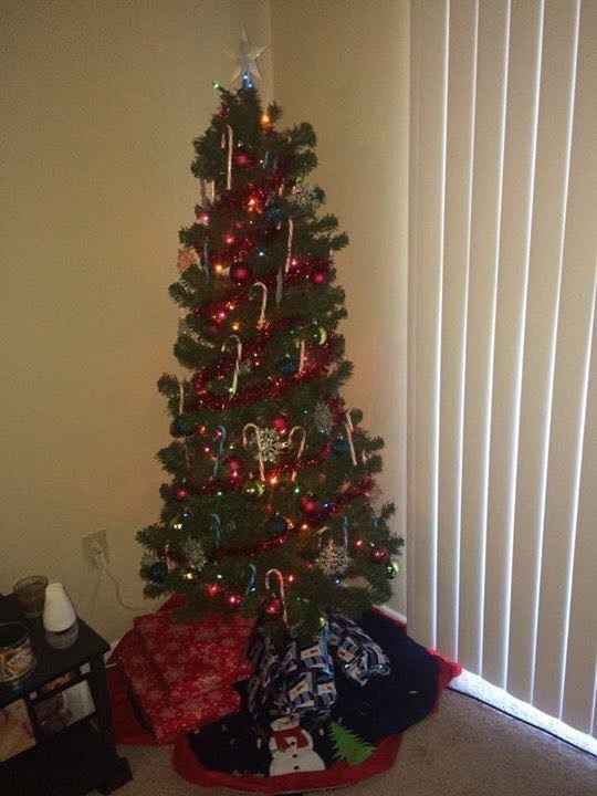 NWR-show me your Xmas trees