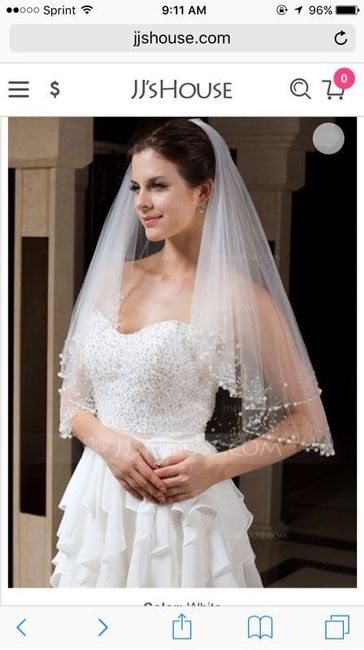 I can't choose a veil!