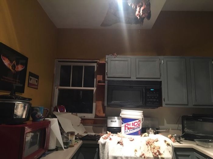 NWR: ceiling caved in this morning