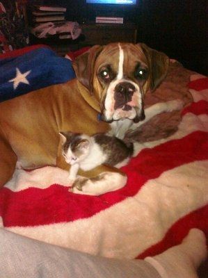 Furbabies!!! Lets show them off!