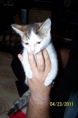 Furbabies!!! Lets show them off!